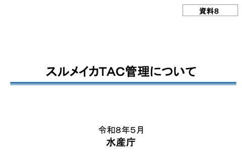 資料8 スルメイカTAC管理について