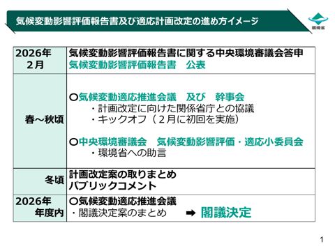 資料２ー２_気候変動影響評価報告書及び適応計画改定の進め方イメージ