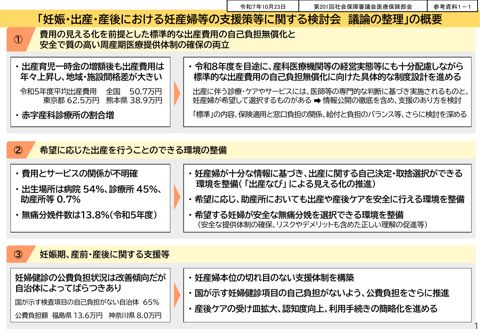 【参考資料１－１】 「妊娠・出産・産後における妊産婦等の支援策等に関する検討会 議論の整理」の概要［PDF形式：671KB］