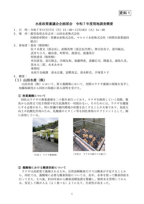 現地調査概要