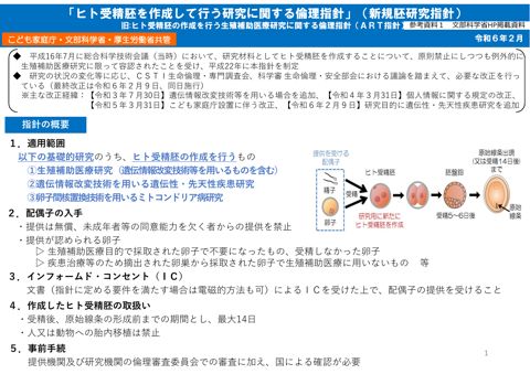 【参考資料１】ヒト受精胚を作成して行う研究に関する倫理指針及び研究手続について［PDF形式：295KB］ の表紙