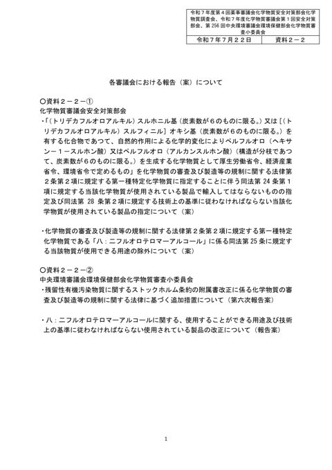 資料２－２ 各審議会における報告（案）について