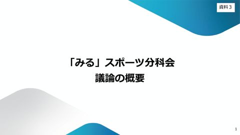 資料3 「みる」スポーツ分科会概要