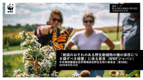 資料1-2_「絶滅のおそれのある野生動植物の種の保存につき講ずべき措置」に係る意見