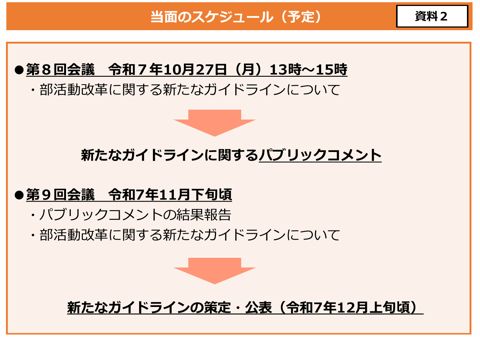 【資料2】当面のスケジュール（予定）