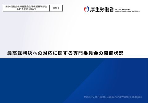 （資料３）最高裁判決への対応に関する専門委員会の開催状況［PDF形式：393KB］