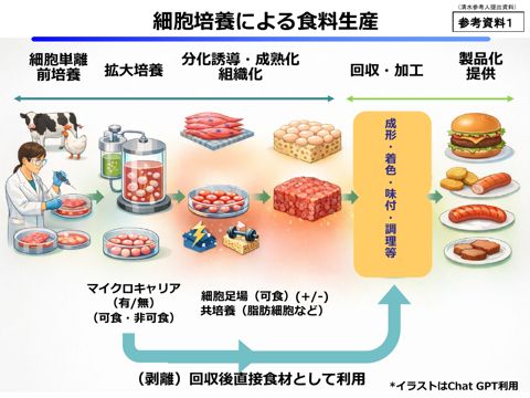 参考資料1 細胞培養による食料生産(生産工程に係る参考情報、清水参考人提供資料)