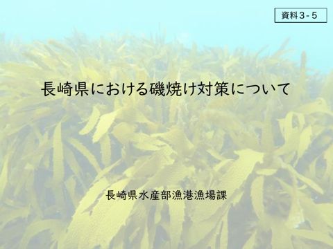 長崎県における磯焼け対策 《長崎県》［PDF １ MB］