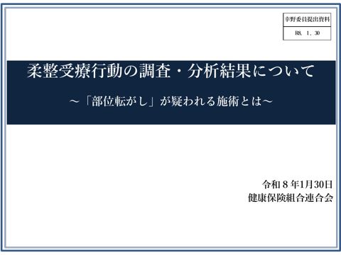 委員提出資料［PDF形式：2.5MB］