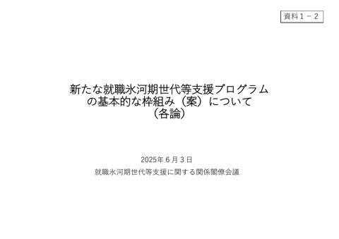 新たな就職氷河期世代等支援プログラムの基本的な枠組み（案）について（各論）