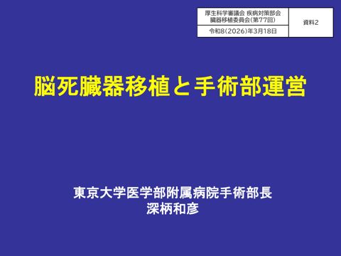資料２ 深柄参考人提出資料［PDF形式：935KB］ の表紙