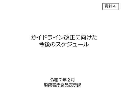 【資料4】ガイドライン改正に向けた今後のスケジュール