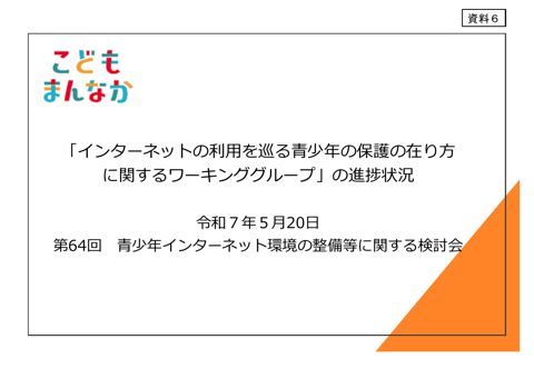 資料6 「インターネットの利用を巡る青少年の保護の在り方に関するワーキンググループ」の進捗状況