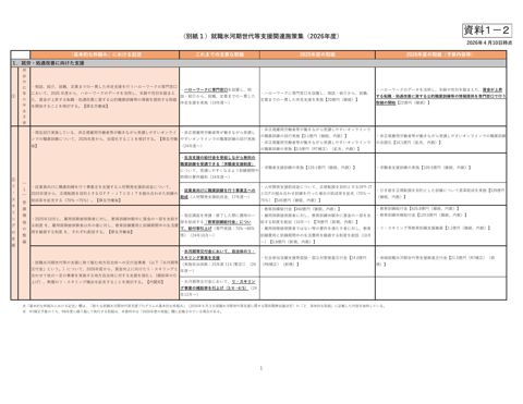 新たな就職氷河期世代等支援プログラム 別紙1(案) の表紙