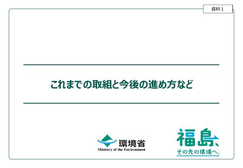 これまでの取組と今後の進め方など