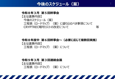 今後のスケジュール（案）