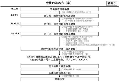 今後の進め方(案)