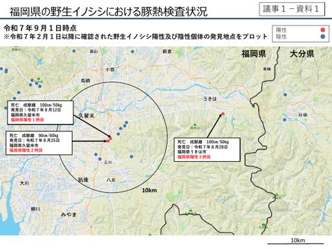 福岡県の野生イノシシにおける豚熱検査状況