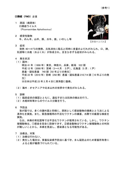 (参考1)口蹄疫(FMD)とは