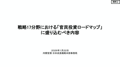 戦略17分野における「官民投資ロードマップ」に盛り込むべき内容