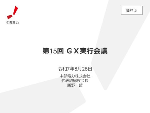 勝野構成員提出資料