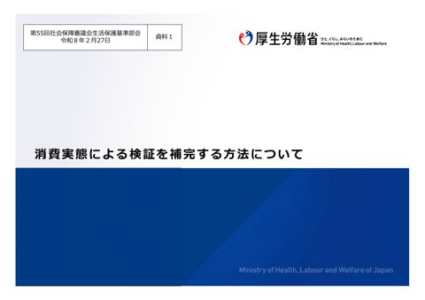 （資料１）消費実態による検証を補完する方法について［PDF形式：9.6MB］