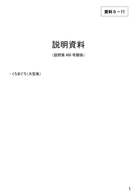 資料5-11 説明資料(諮問第486号関係)くろまぐろ(大型魚)
