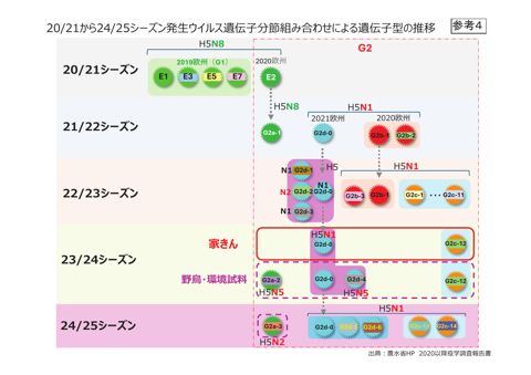 参考4 遺伝子型の推移・遺伝子系統樹