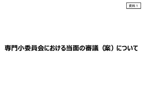 【資料1】専門小委員会における当面の審議（案）について