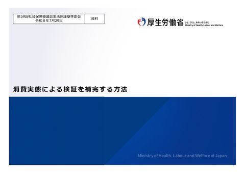 (資料) 消費実態による検証を補完する方法［PDF形式：10.5MB］