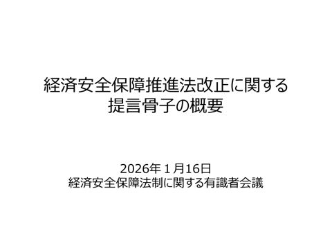 提言骨子の概要