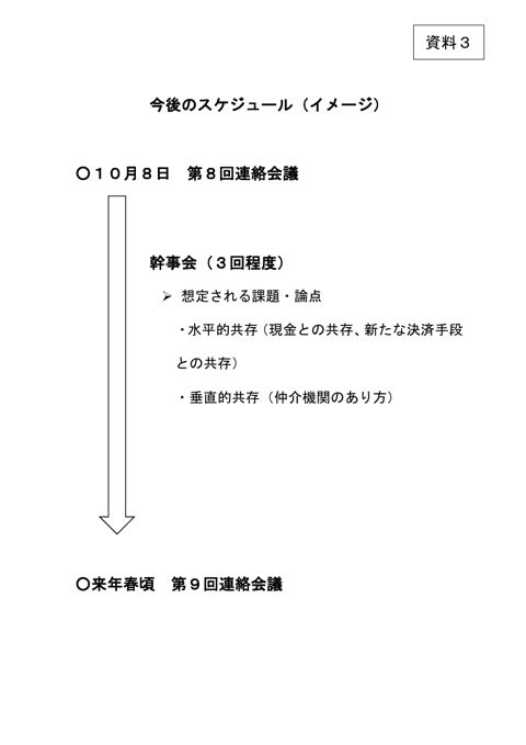 今後のスケジュール（イメージ） の表紙