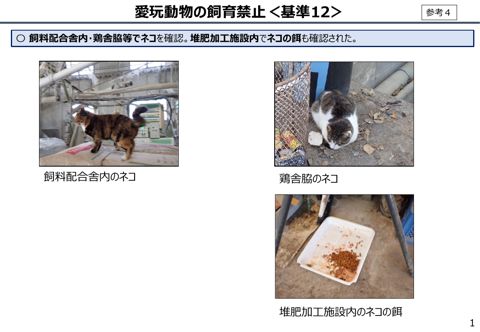 高病原性鳥インフルエンザの発生時に疫学調査チームが撮影した写真 の表紙