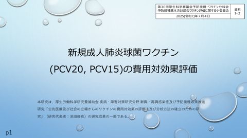 04資料１－２池田委員提出資料［PDF形式：2.1MB］