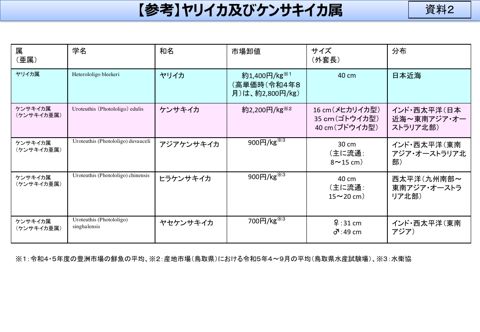 【資料2】(参考)ヤリイカ及びケンサキイカ属