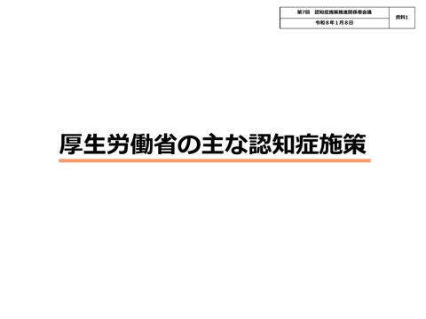 厚生労働省提出資料