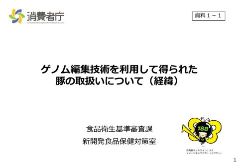 資料1-1 ゲノム編集技術を利用して得られた豚について