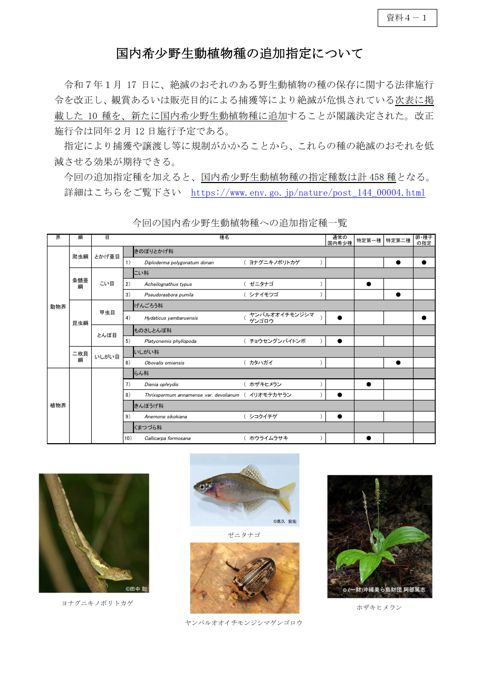 資料4-1 国内希少野生動植物種の追加指定について