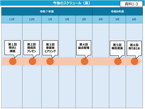 今後のスケジュール(案)
