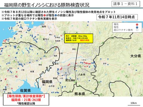 福岡県の野生イノシシにおける豚熱検査状況