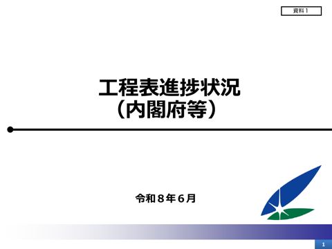 資料1 工程表進捗状況（内閣府主務の論点について）