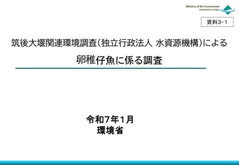 筑後大堰関連環境調査による卵稚仔魚に係る調査《環境省》［PDF 441 KB］
