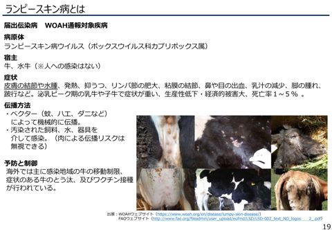 【資料2】分割版4