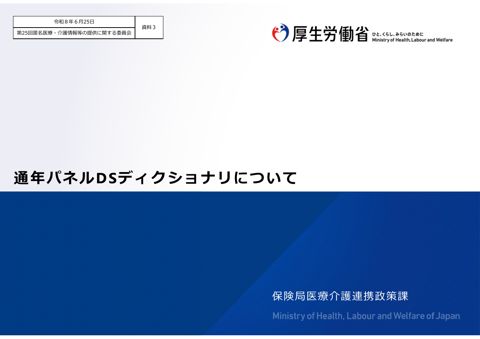 資料３ 通年パネルDSディクショナリについて［3.6MB］