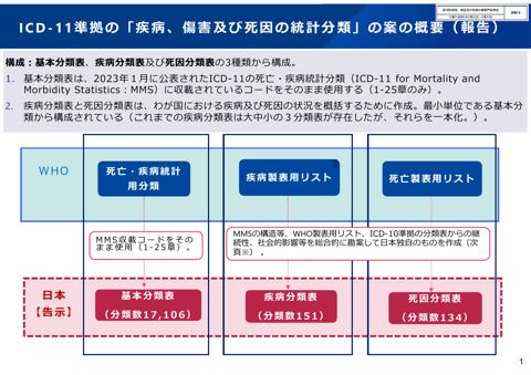 【資料6】「疾病、傷害及び死因の統計分類」（ICD-11準拠）案の概要等（報告）［PDF形式：1.2MB］