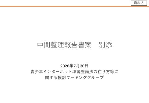 資料3 青少年インターネット環境整備法の在り方等に関する検討ワーキンググループ中間整理報告書（案）別紙