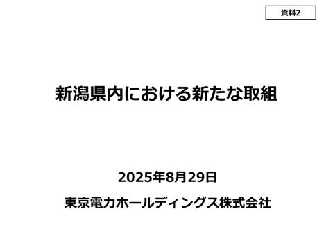 新潟県内における新たな取組（東京電力ホールディングス株式会社提出資料） の表紙