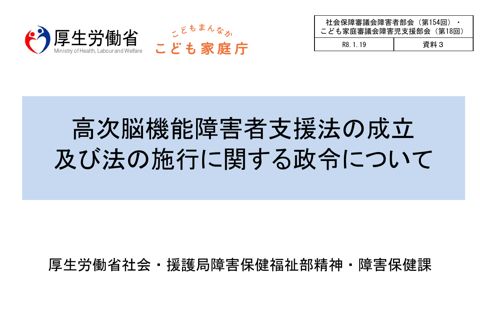 資料３ 高次脳機能障害者支援法の成立及び法の施行に関する政令について［PDF形式：623KB］