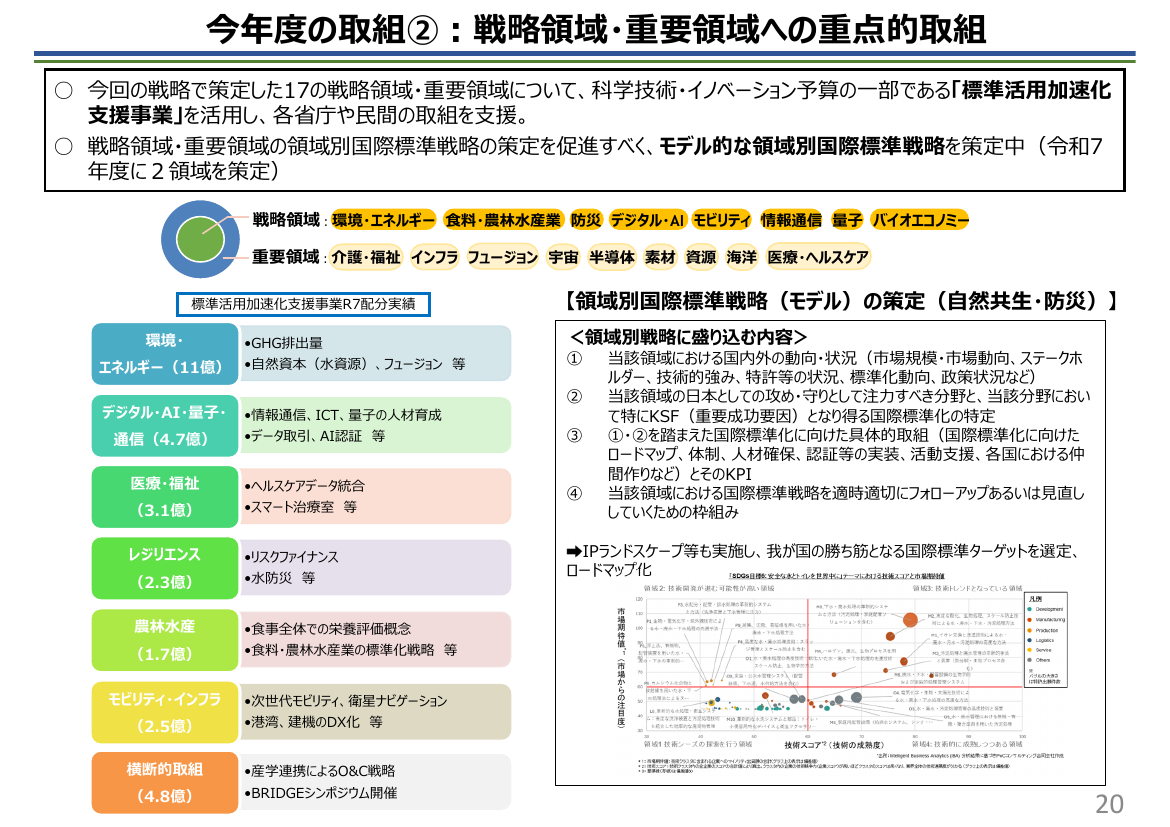 標準活用加速化支援事業（BRIDGE） 資料スライド