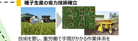 figure (conf=0.56)